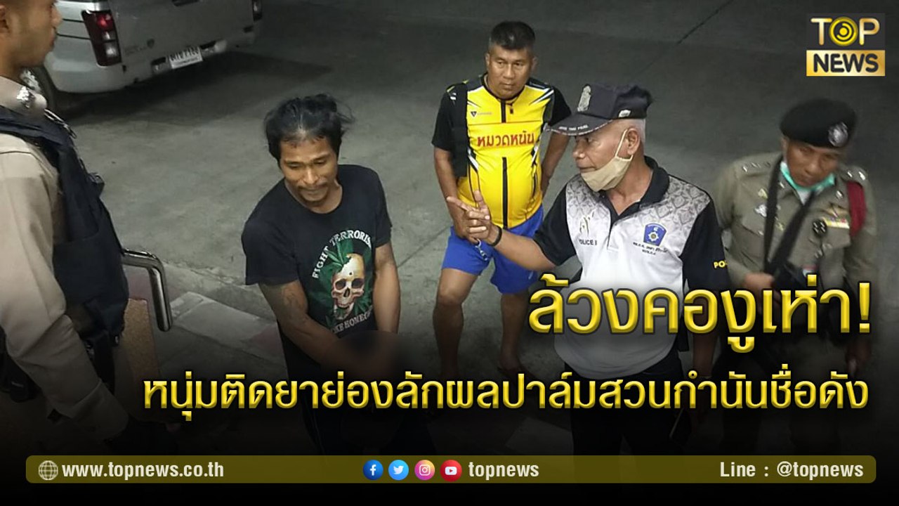 ล้วงคองูเห่า 16-9ล้วงคองูเห่า! หนุ่มติดยาย่องลักผลปาล์มสวนกำนันชื่อดัง สุดท้ายถูกสุ่มจับคาของกลาง | TOP NEWS | 5 มี.ค. 64