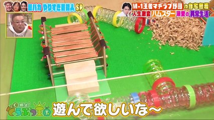 坂上どうぶつ王国  2021年3月5日 サンド＆くっきーが芸能人スマホのぞき見▽マヂラブ野田密着