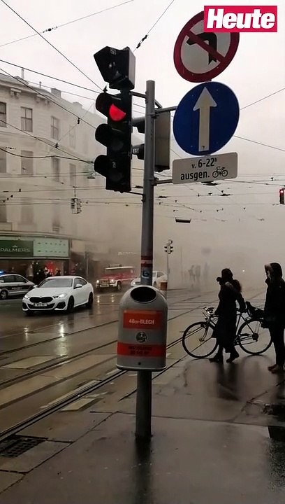 Video 2: Mord-Anschlag mit Benzin – Feuerwehreinsatz in Alsergrund