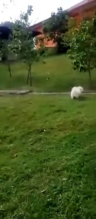 TAKBO
