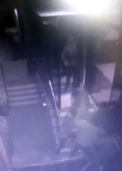 Pitbull'la fabrika bekçisine dehşeti yaşattılar... O anlar kamerada