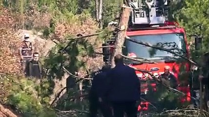 Kütahya'da orman yangını