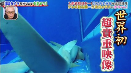 所さんのそこんトコロ  2021年3月5日 開かずの金庫３連発！遠距離通勤＆通学ＳＰ　２部-(edit 2/2)