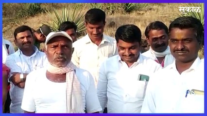 सांगलीतील औटेवाडी भीषण आग, गवतासह झाडे जळाली  | sangli | Fire