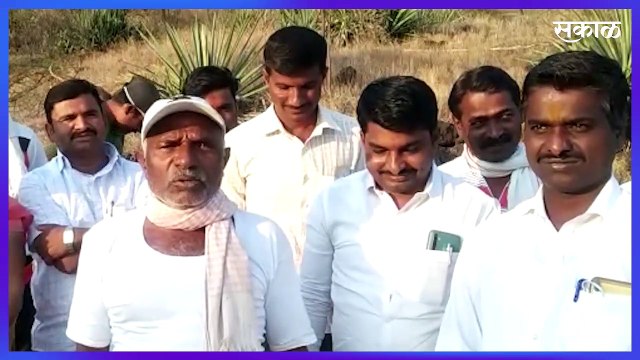 सांगलीतील औटेवाडी भीषण आग, गवतासह झाडे जळाली | sangli | Fire