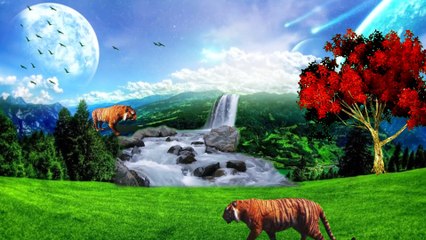 Tiger animetion VFX effect video