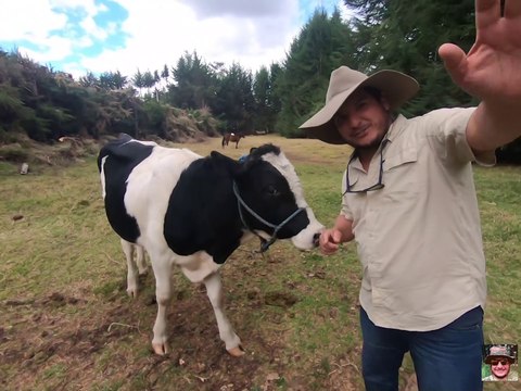 Como cuidar a un toro 2021 / cuidados de un toro !!!