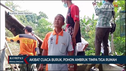 Akibat Cuaca Buruk, Pohon Ambruk Timpa Rumah Warga