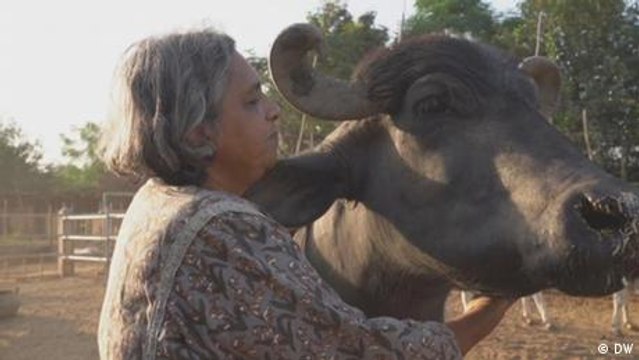 Caring for people and animals
