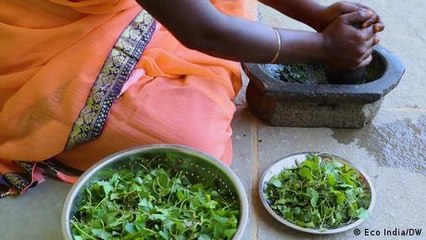 A new life with and for medicinal herbs