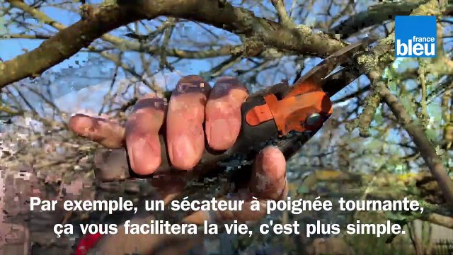 Roland Motte, jardinier : tailler son pommier