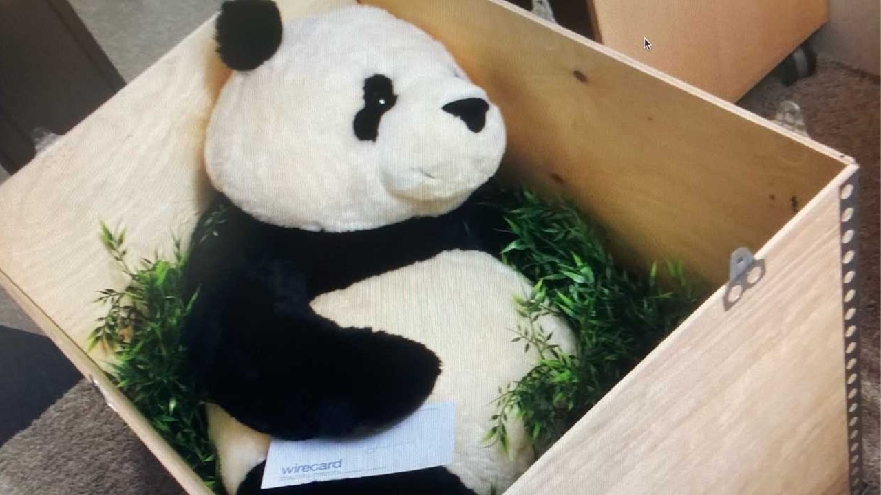 Panda-Gate: Wie Wirecard an den ÖBB-Deal kam