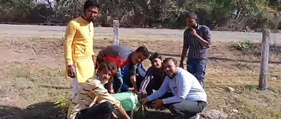 बीएसडब्ल्यू के विद्यार्थियों ने रोपे पौधे