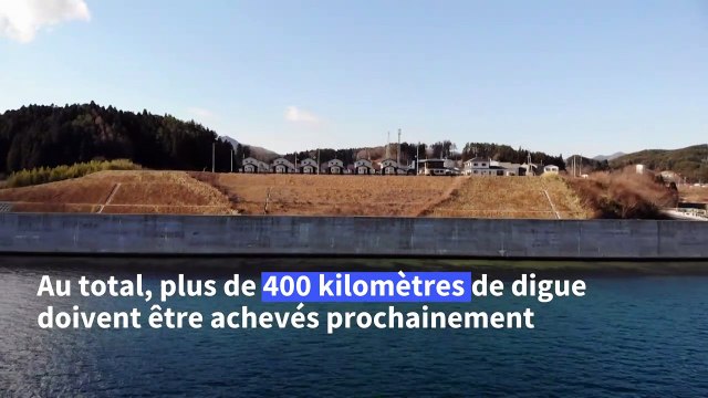 Japon: les murs anti-tsunami, massif héritage de la catastrophe de 2011