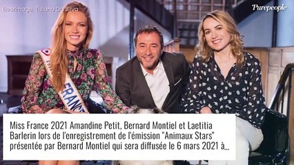 Animaux Stars : Amandine Petit, divine, apprivoise deux adorables chiens