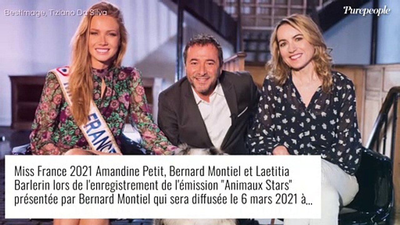 Animaux Stars : Amandine Petit, divine, apprivoise deux adorables chiens