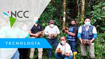 Boas y tortugas silvestres regresan a su hábitat en la región Amazónica de Ecuador