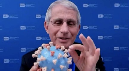 Dr. Fauci Donates His Personal 3D Model of COVID-19 to the Smithsonian