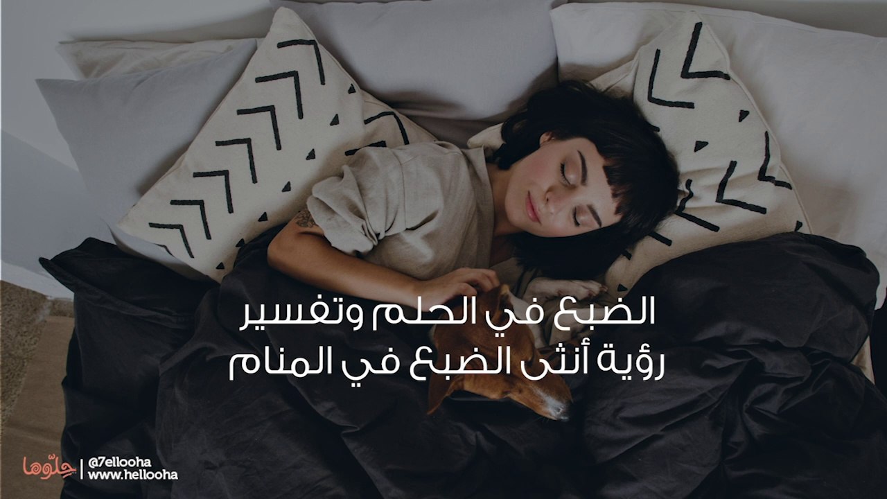 الضبع في الحلم وتفسير رؤية أنثى الضبع في المنام