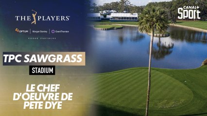 Les 18 trous du TPC Sawgrass, un chef d'oeuvre signé Pete Dye qui accueille le Players Championship.