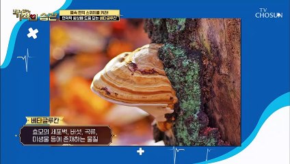면역력 UP↗ 시켜주는 ‘3세대 발효 베타글루칸’ TV CHOSUN 210309 방송