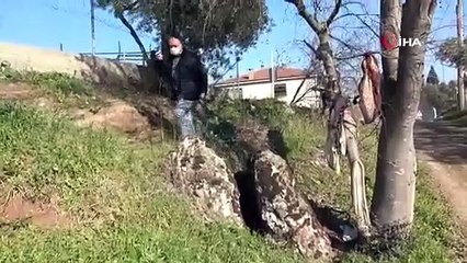 Çocuğu olmayanlar kayanın etrafında dönüp çıkan böceği yutuyor