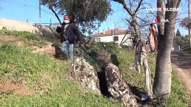 Çocuğu olmayanlar çiftler kayanın etrafında dönüp çıkan böceği yutuyor