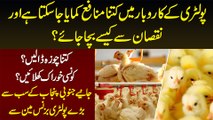 Poultry Farming Me Kitna Profit Ha? Poultry Farming Kese Start Karen? Poultry Feed & Business Tips