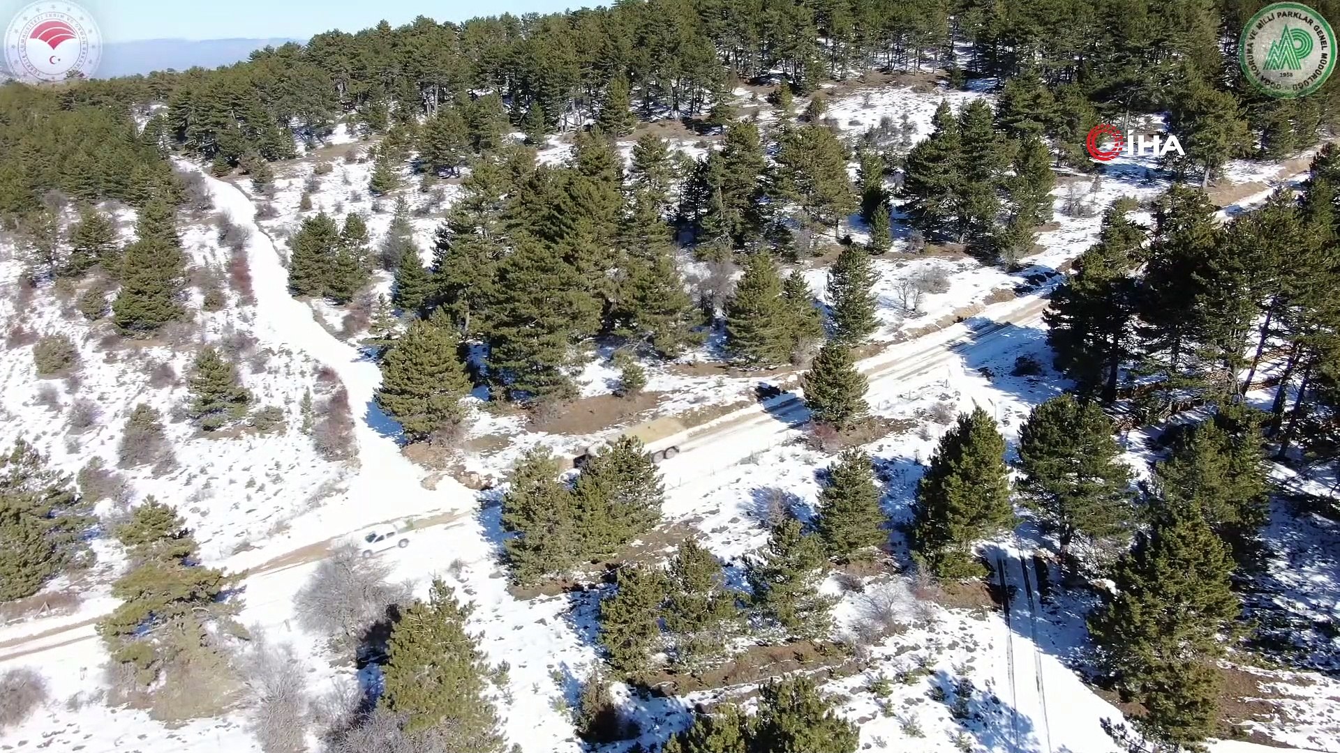 Mihalıççık dağlarındaki yaban hayvanlar unutulmadı