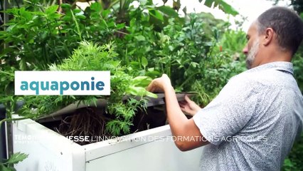 Jeunesse - L'innovation des formations agricoles