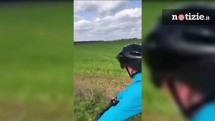 "Ecco la pantera, ci sta puntando", in Puglia un ciclista filma il presunto avvistamento