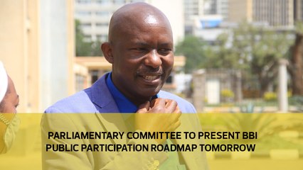 Parliamentary Committee to present BBI public participation roadmap tomorrow