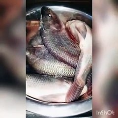 سر قرمشه وطعم سمك المطاعم المقلي مش هاتلاقه غير هنا