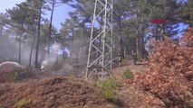 Son dakika haberleri! KÜTAHYA Kütahya'da orman yangını