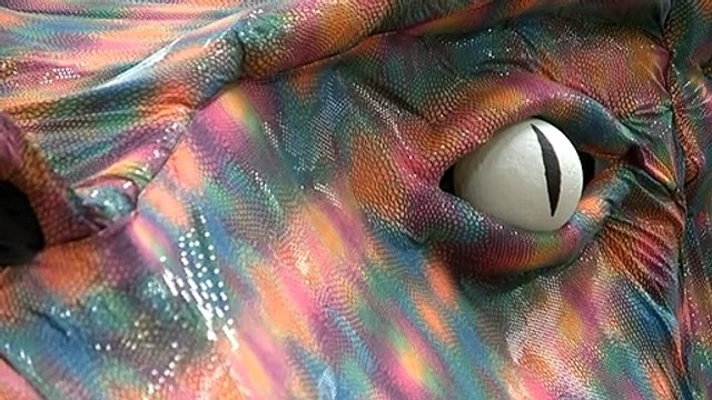 Mardi Gras parade kicks off tonight at the SCG