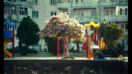 What Do We See When We Look at the Sky? - Trailer