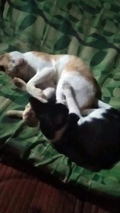 Sleep time 