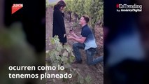 Final inesperado: novio pierde el anillo durante su propuesta de matrimonio