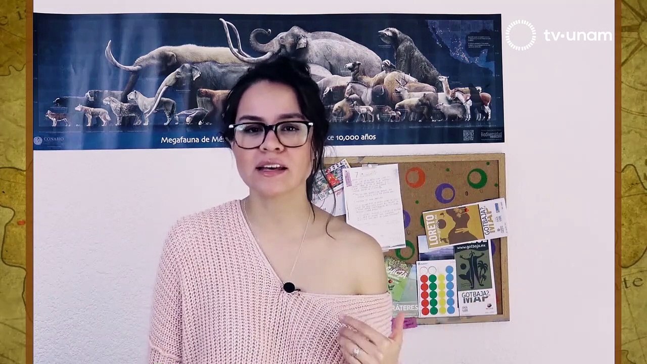 LO MEJOR DE 5 POR CINCO_ LA TIERRA Y SUS HISTORIAS 2