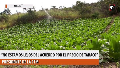 "No estamos lejos del acuerdo por el precio de tabaco"