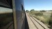 Escaping COVID: Riding South Africa's luxury Blue Train