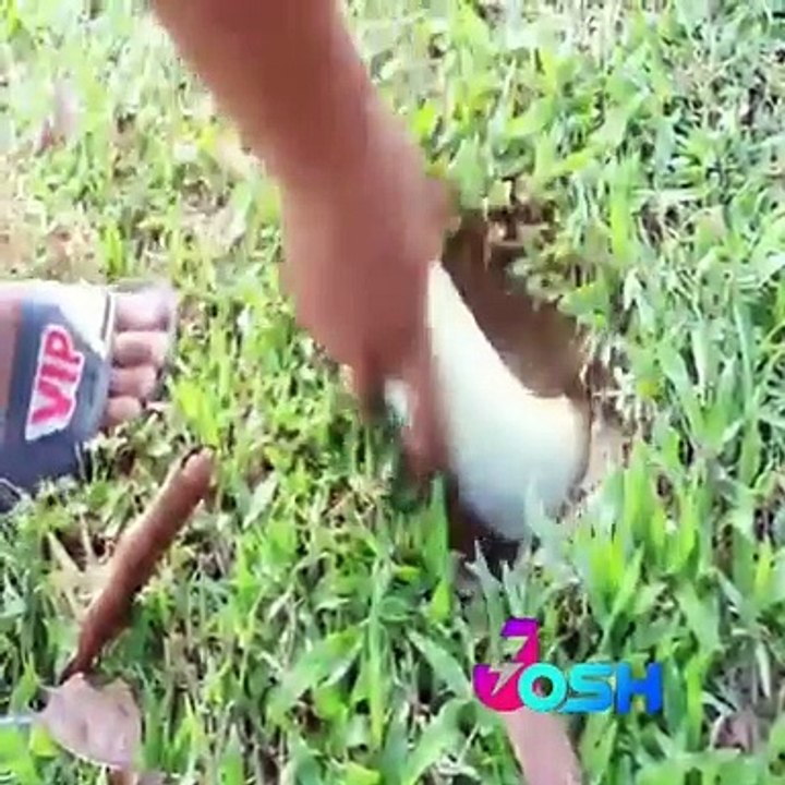 Man hunting fish