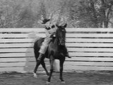 Fury | Season 1 | Episode 11 | Junior Rodeo | Peter Graves | Bobby Diamond | William Fawcett