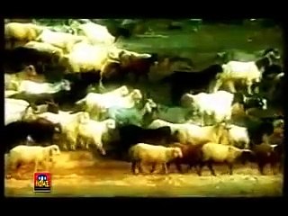 Manne Di Mauj - Hadiqa Kiani