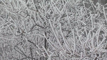 [날씨] 봄 기운 짙어진 남산 공원...영동에는 눈 / YTN