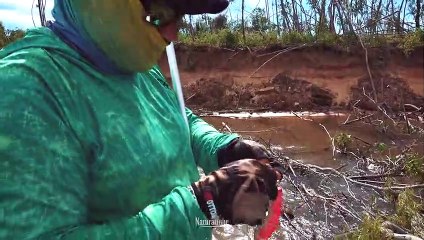 Cuando las cosas no salen...y la cabeza del pescador entra en juego. FISH FINDER