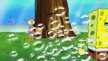 Spongebob -  سبونج بوب _ هاجسسبونجبوبمعكينيالقط