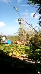 my beautiful place ❤️❤️❤️ please subscribe thank you