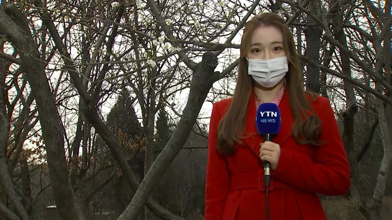 [날씨] 휴일 구름 많고 포근한 봄...큰 일교차 주의 / YTN