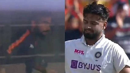 IND VS ENG 4th Test : Kohli Jumps Off His Seat, Runs To Balcony To Celebrate Rishabh Pant's Century